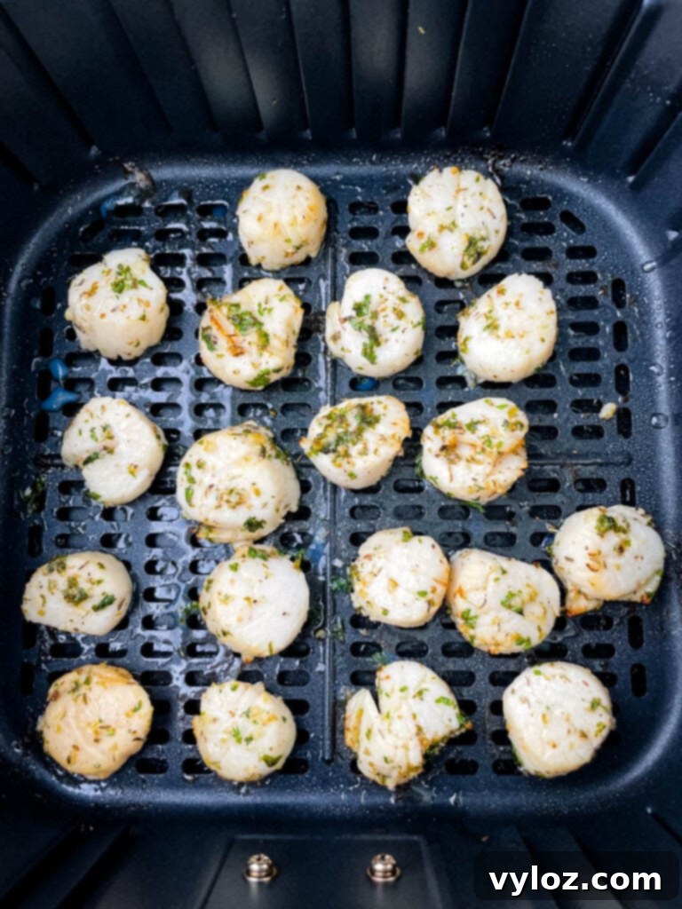 scallops in an air fryer