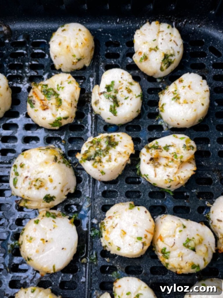 scallops in an air fryer