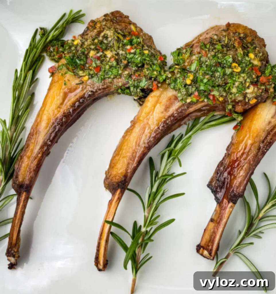 Close-up of succulent air fryer lamb chops on a white plate, served with fresh rosemary and a vibrant chimichurri sauce.