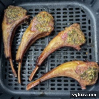 Air fryer lamb chops on a white plate with rosemary