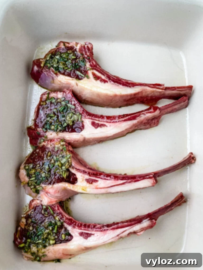 Raw seasoned lamb chops arranged in a baking dish, ready for cooking.