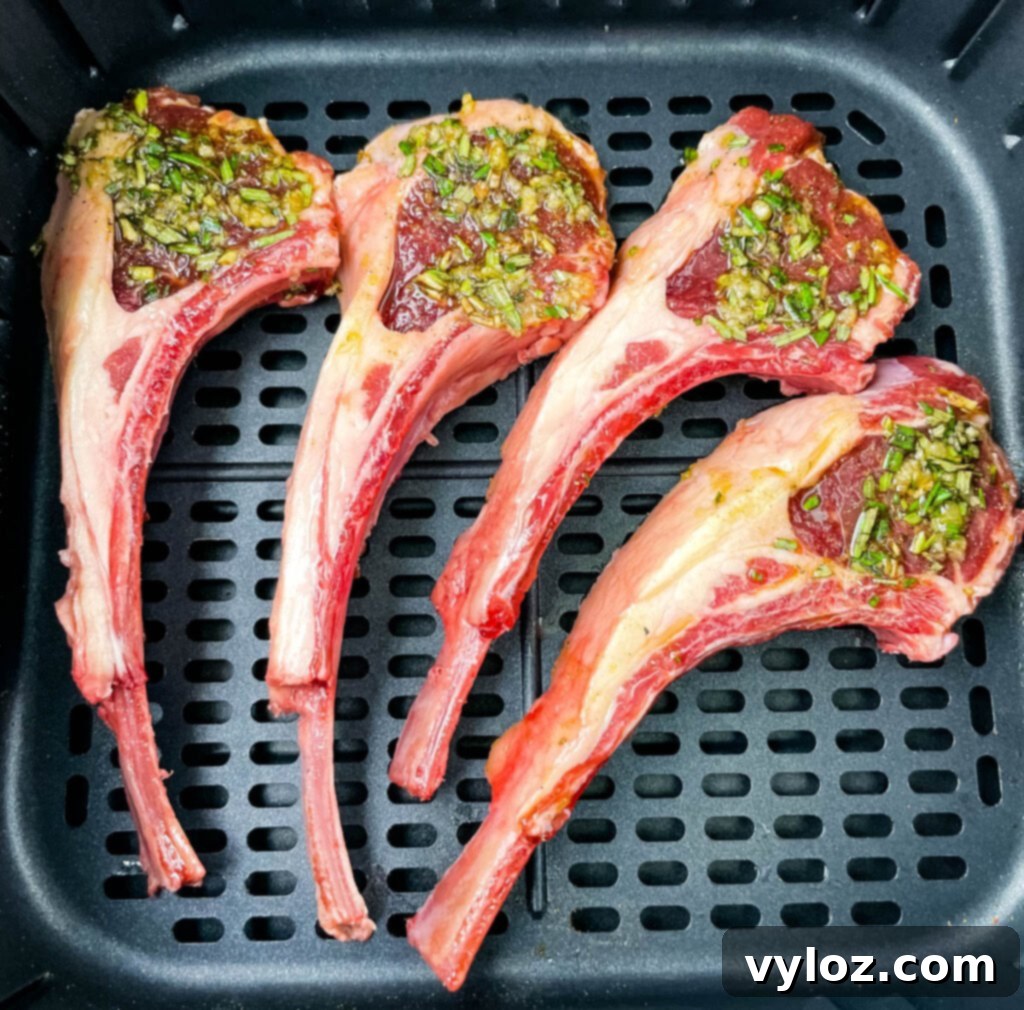 Raw seasoned lamb chops placed in an air fryer basket, ready to be cooked.