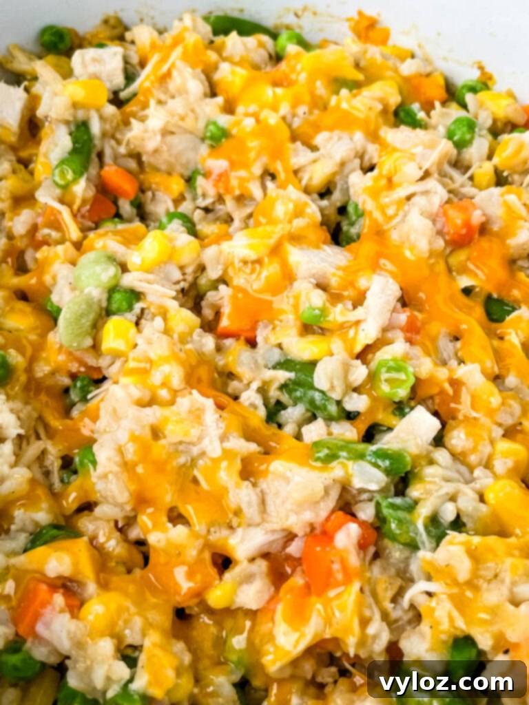 Creamy Cheesy Slow Cooker Chicken and Rice 11 A hearty serving of Slow Cooker Crockpot Chicken and Rice in a white bowl, garnished