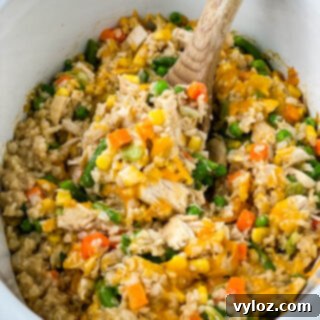 Creamy Cheesy Slow Cooker Chicken and Rice 13 Cheesy Crockpot Chicken and Rice in a slow cooker