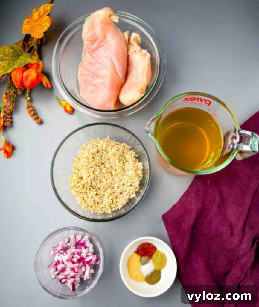 Creamy Cheesy Slow Cooker Chicken and Rice 3 Ingredients for Slow Cooker Chicken and Rice: raw chicken breasts, brown rice, chicken broth, chopped onions, and spices in separate glass bowls