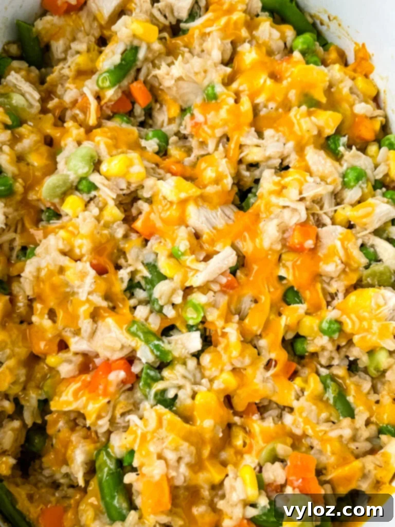 Creamy Cheesy Slow Cooker Chicken and Rice 10 Close-up of creamy Slow Cooker Chicken and Rice with vegetables in a Crockpot