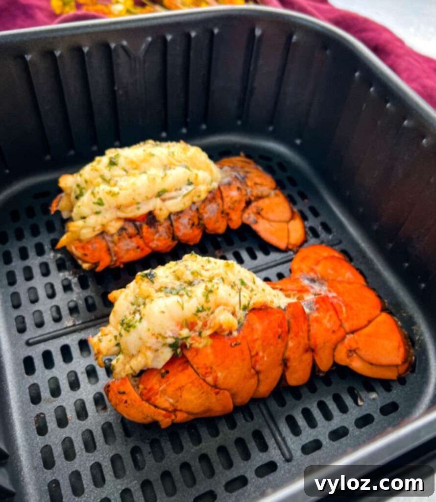 Perfect Air Fryer Lobster Tails 2 cooked lobster tails in an air fryer