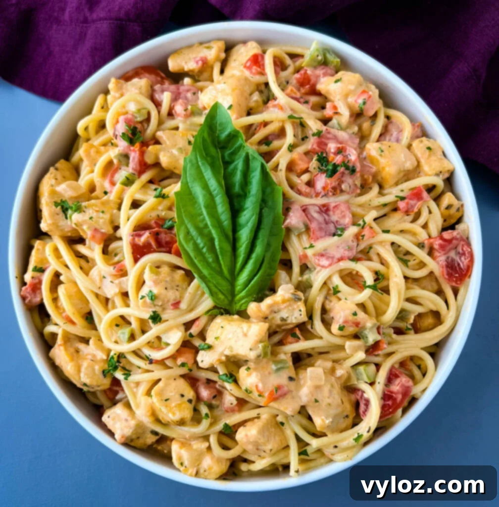 Southern chicken spaghetti in a white bowl, ready to be enjoyed
