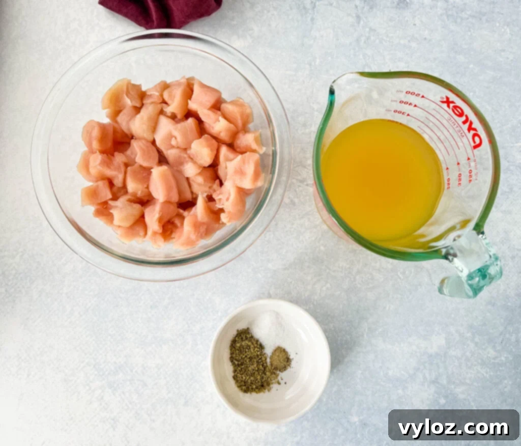 raw chicken breast cut into chunks, chicken broth, and spices in separate bowls, ready for cooking