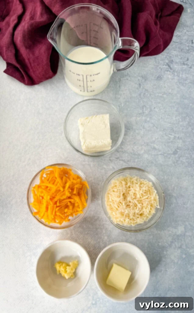 heavy whipping cream, cream cheese, shredded cheddar, shredded Parmesan, butter, and garlic in separate bowls, ingredients for the creamy sauce