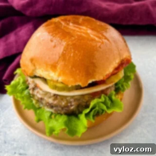 Crispy Air Fryer Frozen Burgers: From Freezer to Plate 11 air fryer cheeseburger on a plate