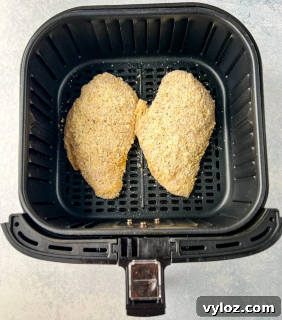 parmesan crusted chicken in an air fryer