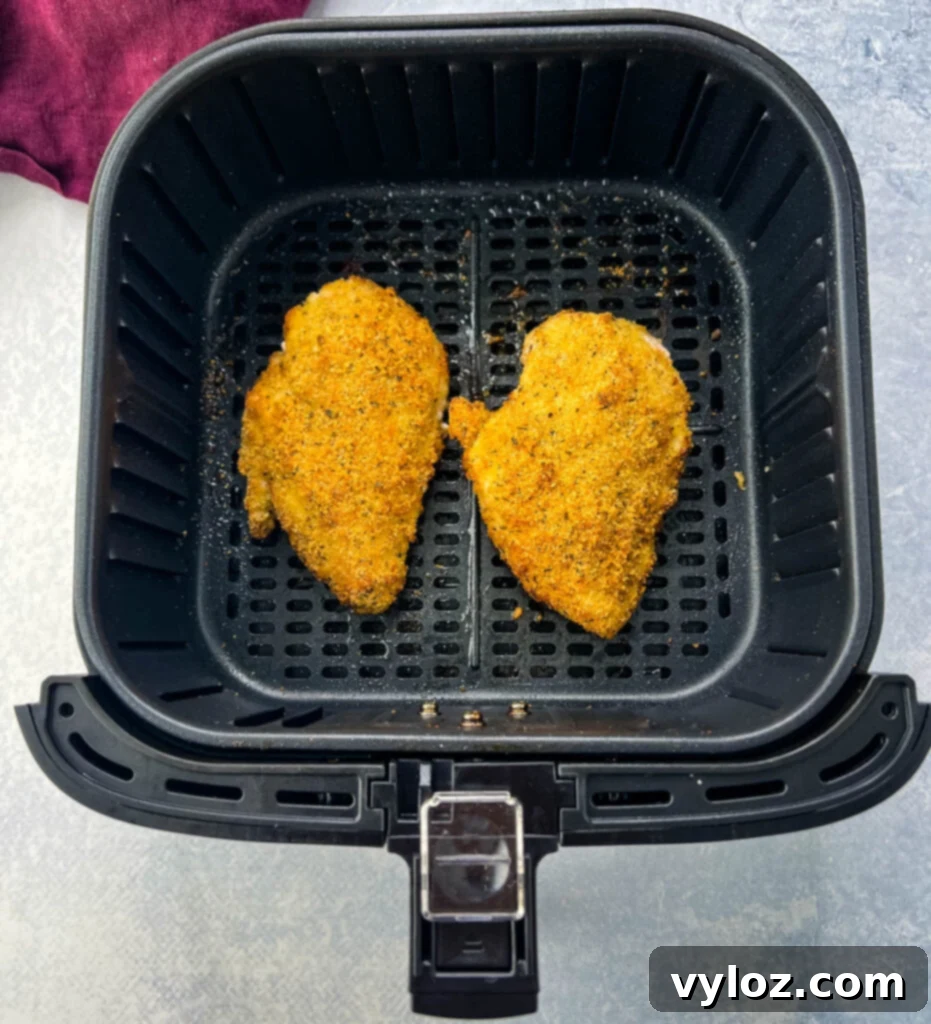 parmesan crusted chicken in air fryer