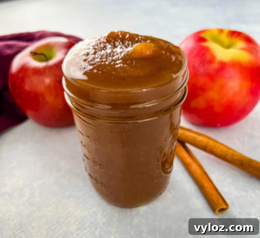 Wholesome Apple Butter 11 sugar free apple butter in a glass jar