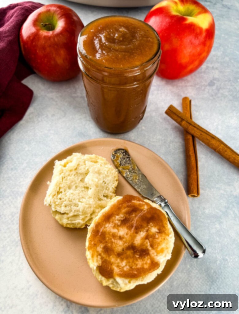 Wholesome Apple Butter 12 biscuit spread with apple butter