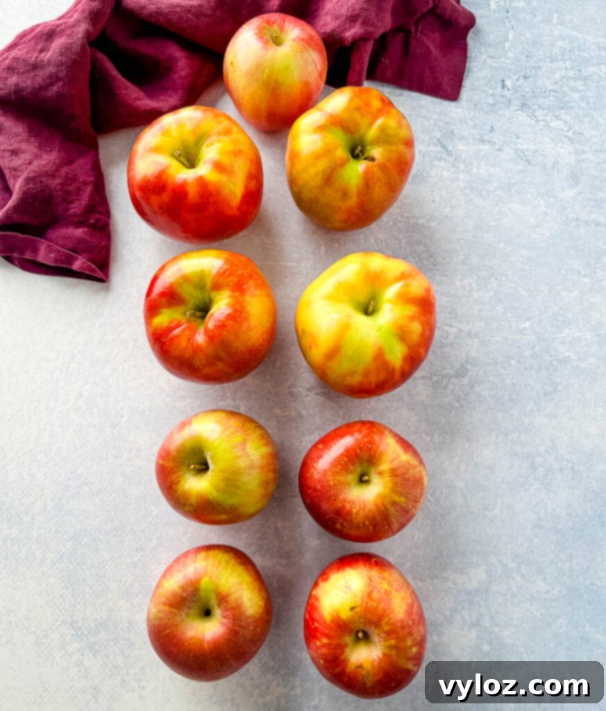 Wholesome Apple Butter 4 fresh Honeycrisp and Fuji apples on a flat surface