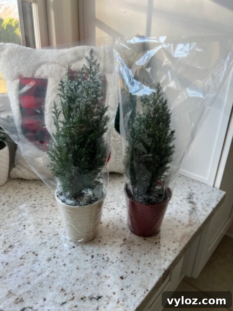 Trader Joe's Holiday Favorites 14 Trader Joe's Mini Decorative Trees for festive tabletop decor