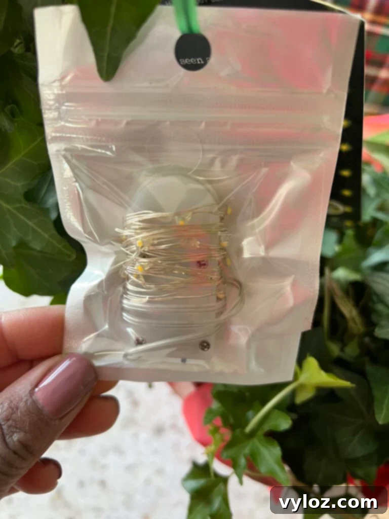 Trader Joe's Holiday Favorites 6 Close-up of Trader Joe's pre-lit ivy wreath