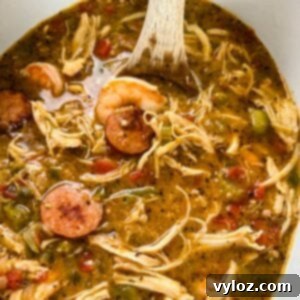 gumbo in a Crockpot slow cooker