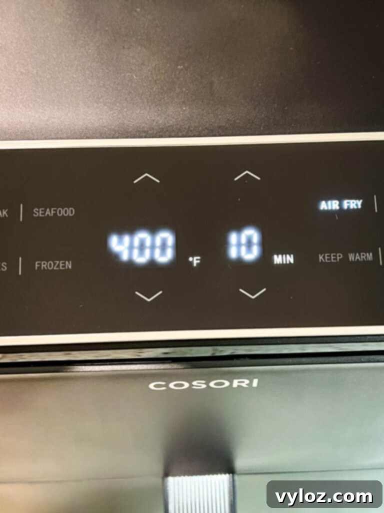 Various Cosori Air Fryer Accessories