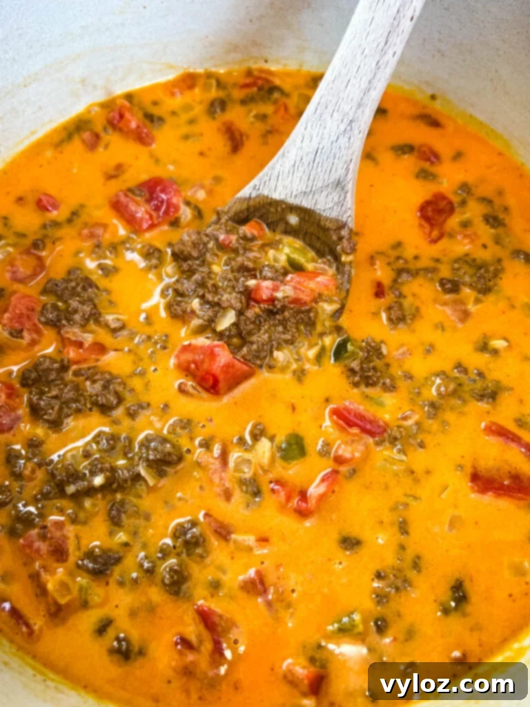 cheese taco pasta sauce in a pot