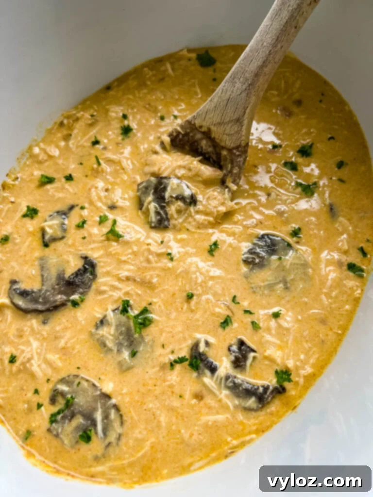 slow cooker chicken stroganoff in a Crockpot