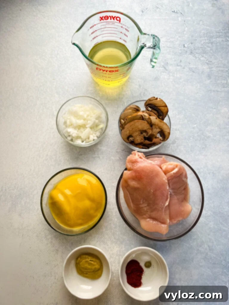 broth, onions, mushrooms, cream of chicken soup, chicken breasts, and spices in separate bowls
