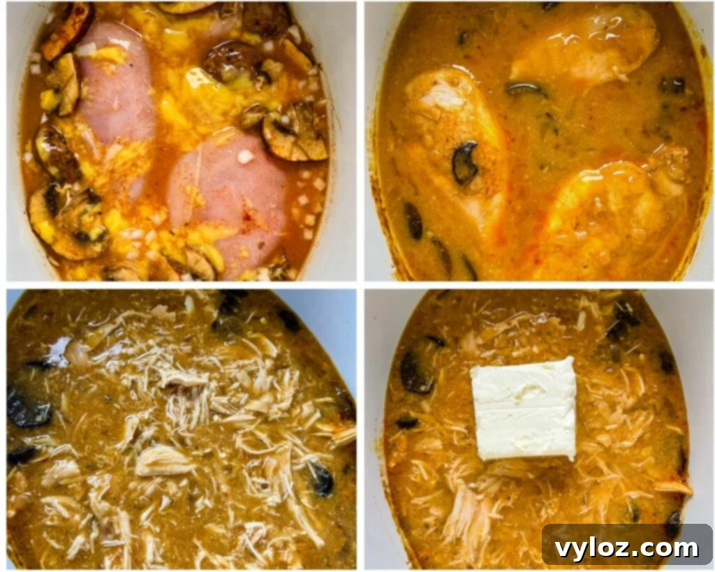 slow cooker chicken stroganoff in a Crockpot