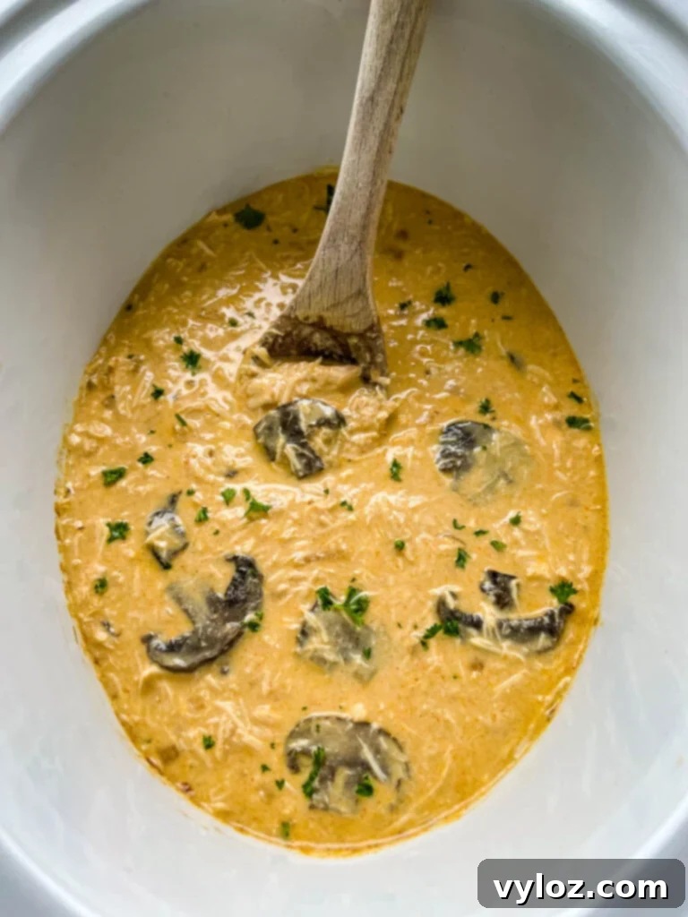 slow cooker chicken stroganoff in a Crockpot