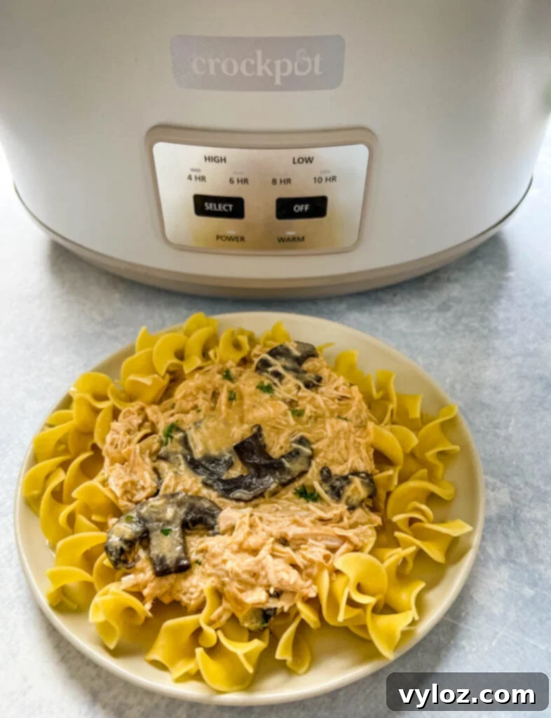slow cooker chicken stroganoff on a plate in front of a Crockpot
