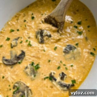 slow cooker chicken stroganoff in a Crockpot