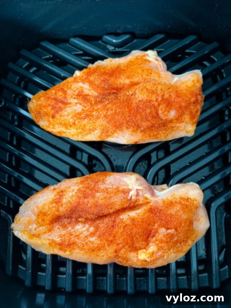 Raw seasoned chicken breasts placed on a Ninja Foodi indoor grill grate