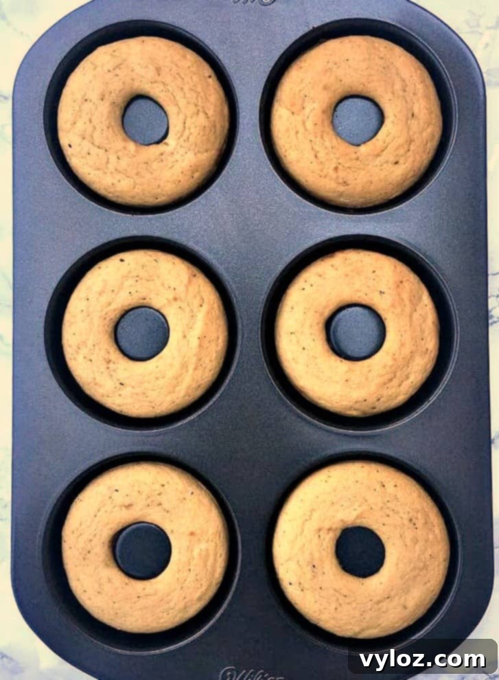 6 finished protein donuts in a donut pan