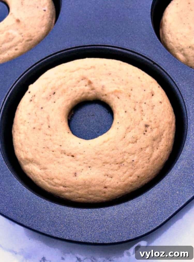 one finished protein donut