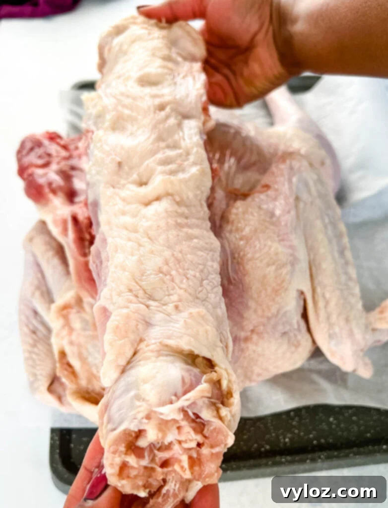 Unlock the Juiciest Spatchcock Turkey 3 person holding a piece of turkey backbone removed during spatchcocking