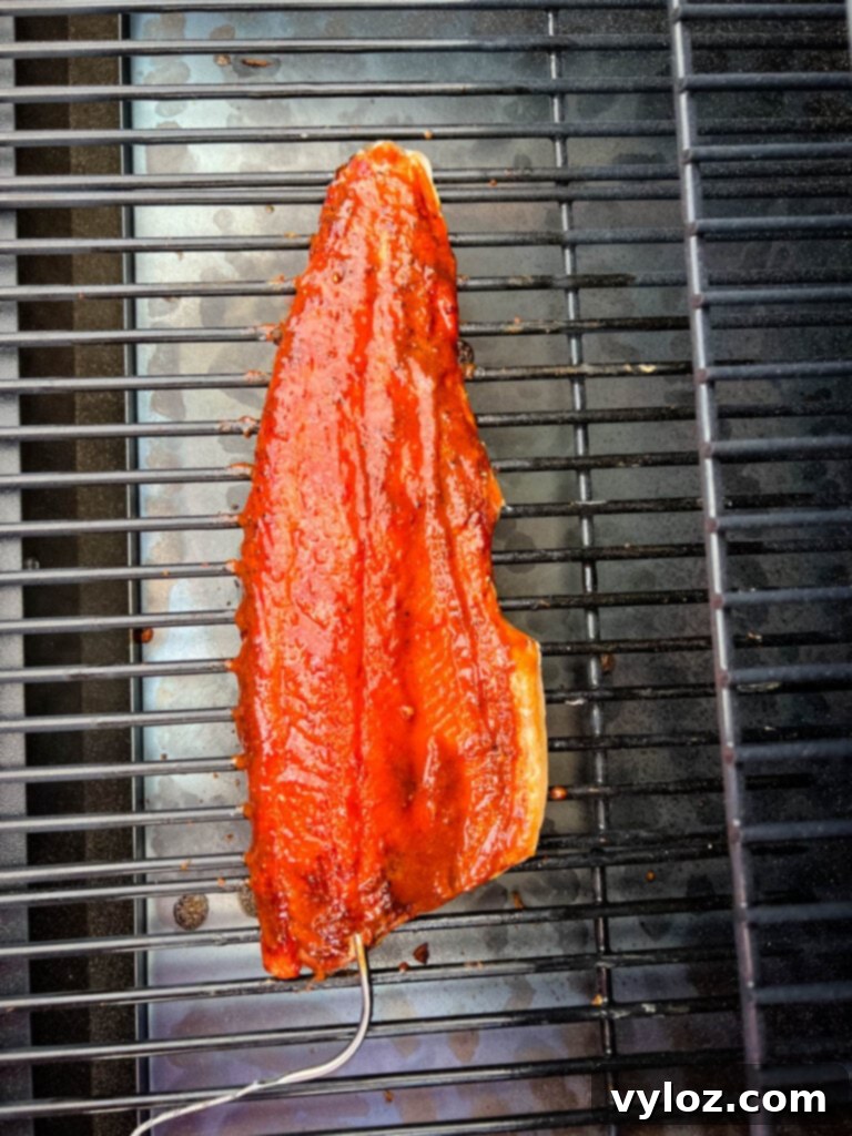 Ultimate Traeger Smoked Salmon 8 Perfectly cooked smoked salmon resting on the grates of a Traeger smoker, showcasing its beautiful texture.