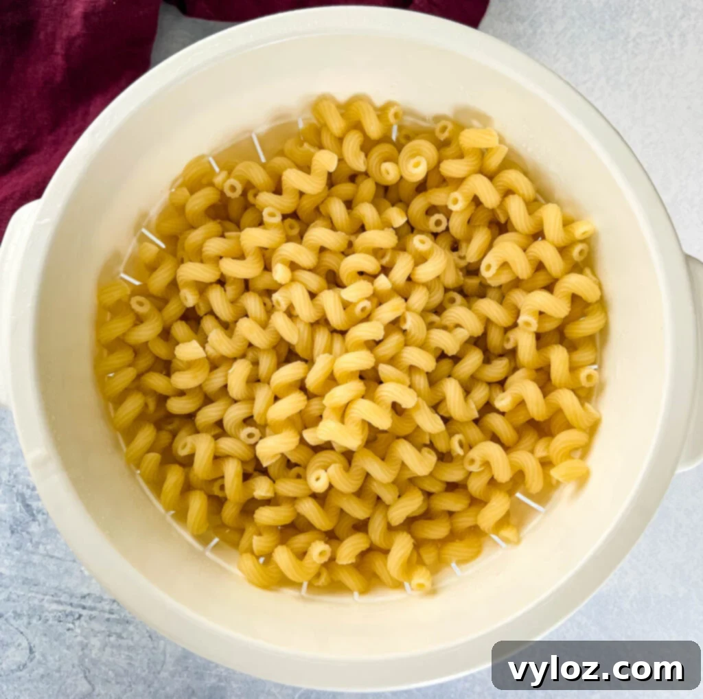 cooked pasta in a coriander