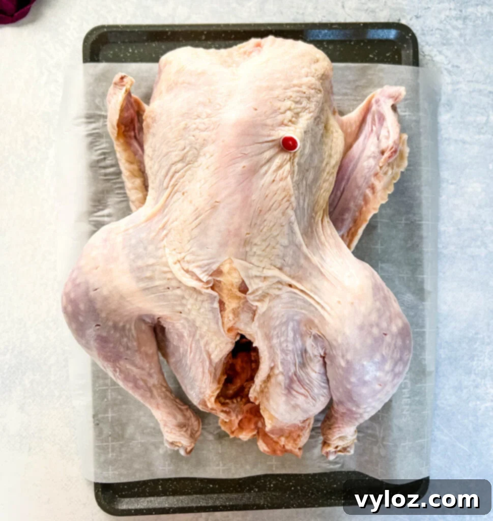 Smoked Spatchcock Turkey on the Traeger 3 Raw turkey, ready for prep, resting on parchment paper.