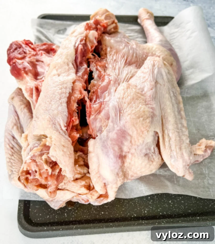 Smoked Spatchcock Turkey on the Traeger 4 Raw turkey with the backbone removed, prepared on parchment paper for spatchcocking.