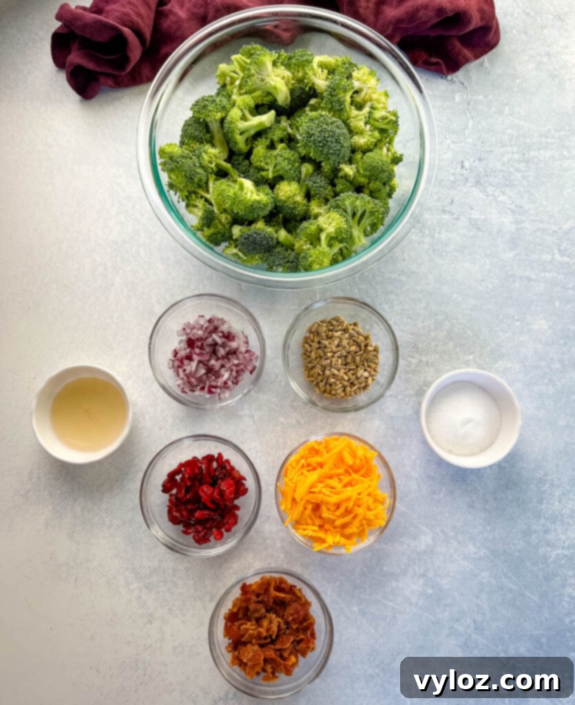 fresh broccoli, red onions, sunflower kernels, apple cider vinegar, shredded cheddar, cranberries, and cooked bacon in separate glass bowls