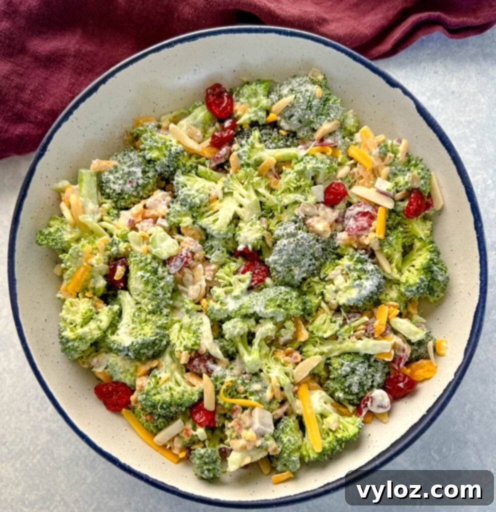 broccoli salad with cheese, bacon, and cranberries in a white bowl