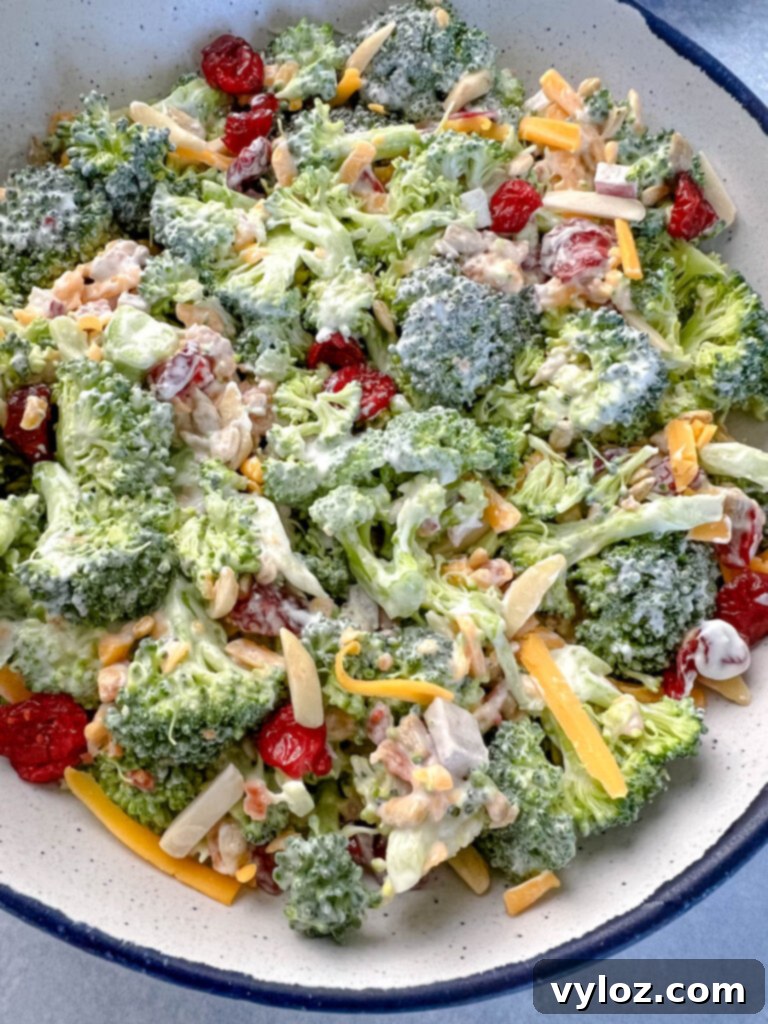 broccoli salad with cheese, bacon, and cranberries in a white bowl