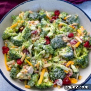 broccoli salad with cheese, bacon, and cranberries in a white bowl