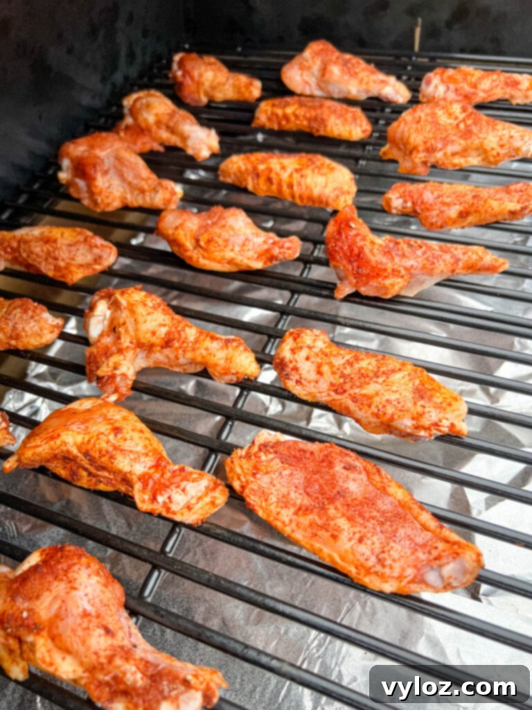 Seasoned raw chicken wings neatly arranged on the grates of a Traeger smoker pellet grill