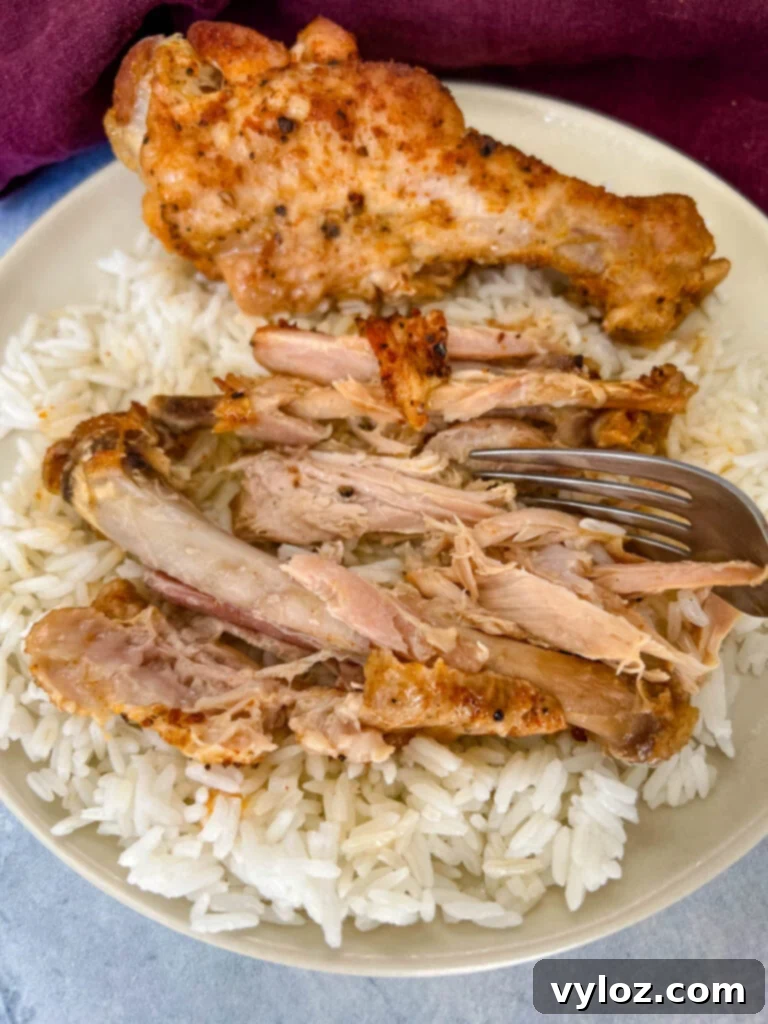 fall off the bone slow cooker turkey wings on a plate with rice