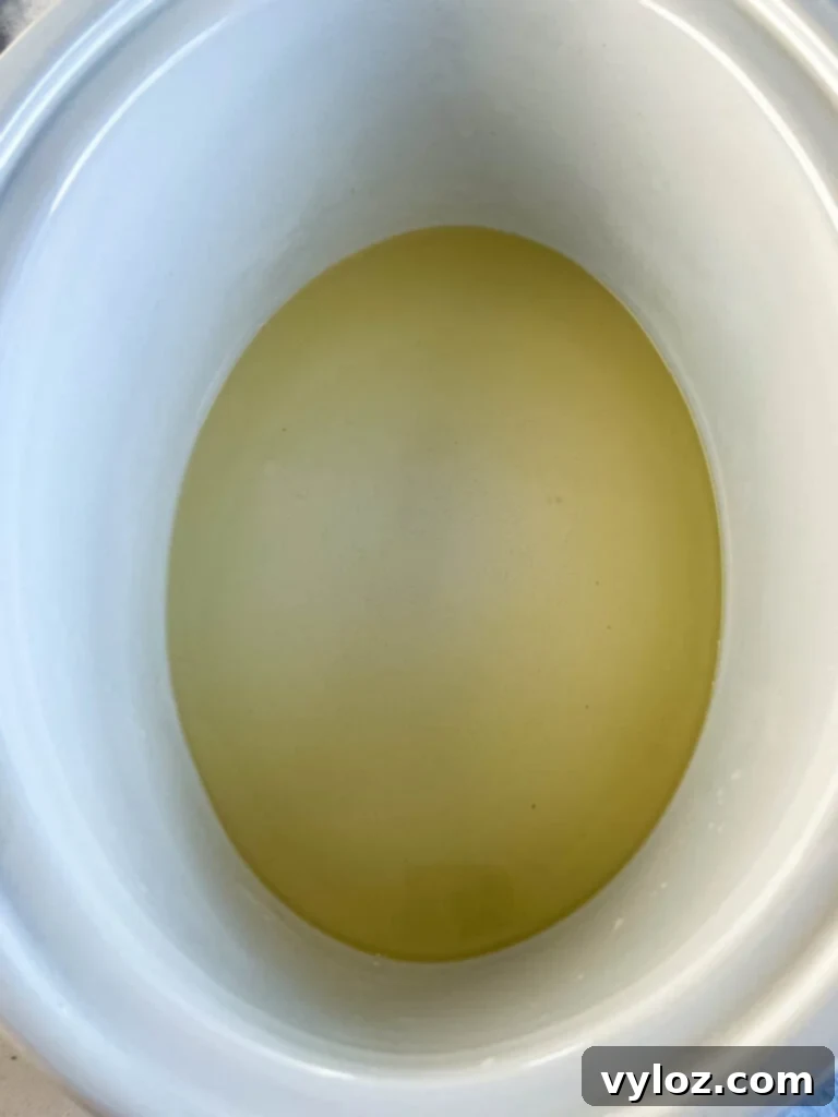 chicken broth in a slow cooker Crockpot