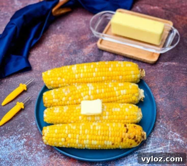 The 20 Easiest & Most Delicious Sides for Steak Night 21 Air Fryer Corn on the Cob