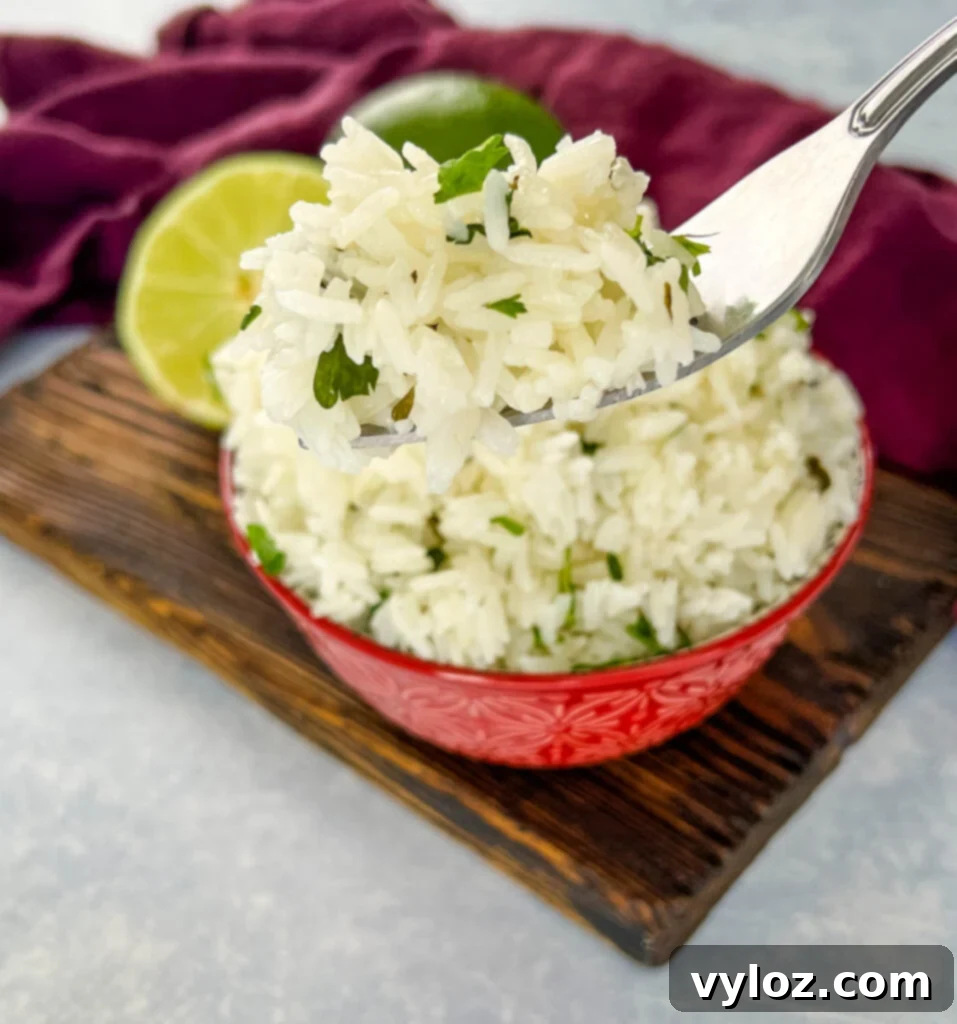a spoonful of cilantro lime rice