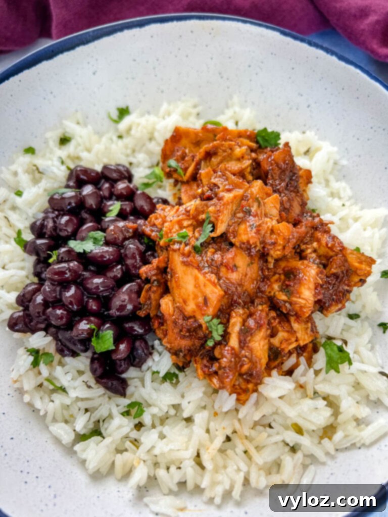 Chipotle pollo asado bowl with cilantro lime rice in a bowl
