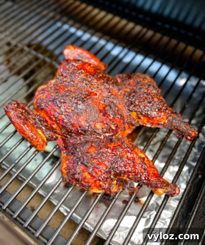 Ultimate Traeger Smoked Whole Chicken 2 whole chicken on a Traeger pellet grill smoker